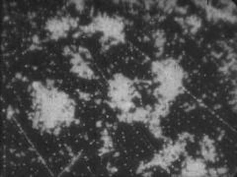 Bacillus typhosus (typhoid and cholera bacilli) (191?)