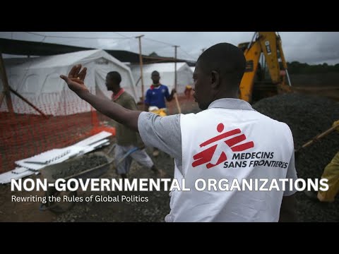 NGOs: The Unseen Forces Shaping Global Policy | Golden Age