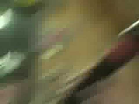 singstar @ chiro westrode