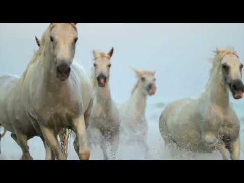 Mikhail Tseslyuk & Divaiz - Feel Your Fire (1)