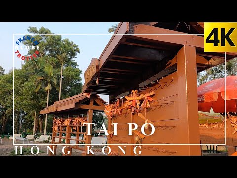 TAI PO Hong Kong🇭🇰 Chung Uk Village— Lam Tsuen Wishing Tree Shrine—  Tin Hau Temple 大埔鍾屋村 林村許願樹 天后廟