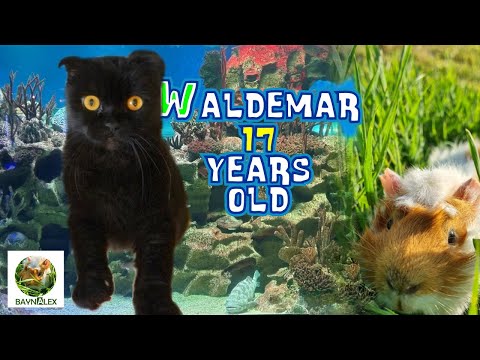 Waldemar 17 years old
