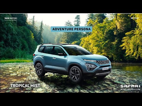 All-New SAFARI Shades