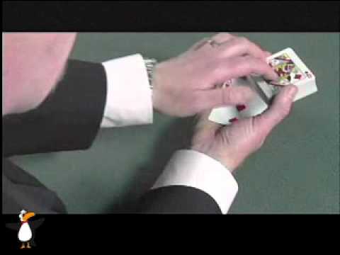 Royal Road To Card Magic DVD by R. Paul Wilson