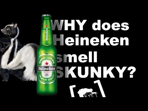 What gives Heineken its SKUNKY Smell?? What is the smiling e? - Inside the Brackets Ep. 2