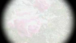 Clã - Problema de Expressão