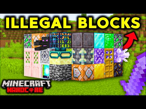 I COLLECTED EVERY ILLEGAL BLOCK in Minecraft Hardcore (Hindi)