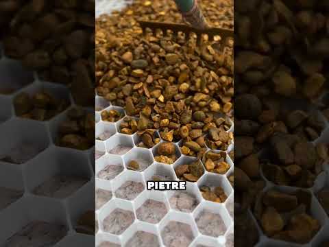 Metodo Intelligente – Il trucco geniale per rifare il giardino #diy #construction #genius