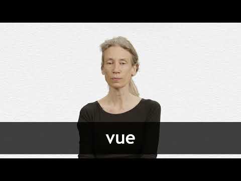 How to pronounce VUE in French