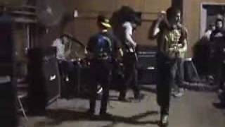 Milestone- Suicide File Cover