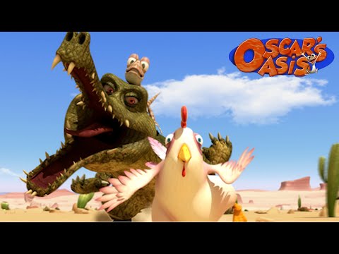 Momma Crocodile Chases Chickens with Oscar + More Oscars's Oasis Cartoons For Kids