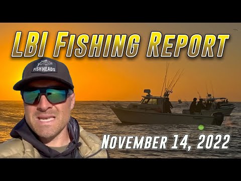 LBI Fishing Report 11/14/22