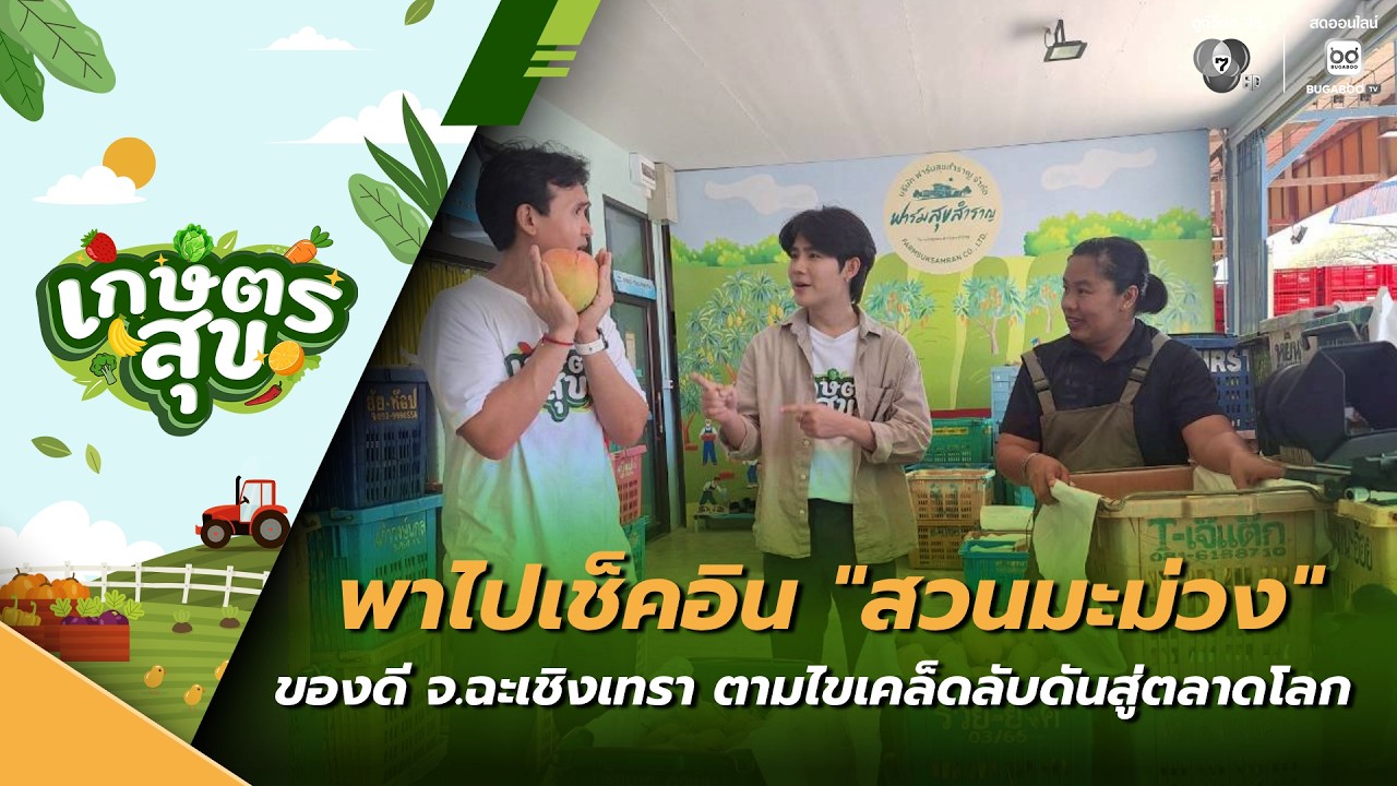 เกษตรสุข EP.13 | เปิดสวนมะม่วง ของดี จ.ฉะเชิงเทรา ตามไข?
