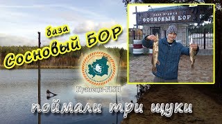 Рыбалка на лаэс сосновый бор