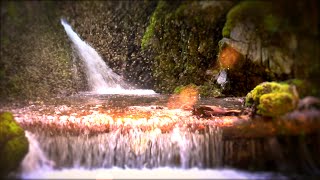 Study Hack | Waterfall White Noise Clears Mind & Blocks Out Distractions | 10 Hours Nature Video