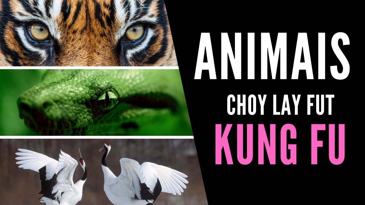5 Animais do Kung Fu | Choy Lay Fut