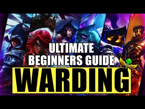 ULTIMATE Beginners Guide to Warding Season 12 | Basics / Concepts