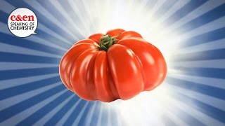 How to make tomatoes taste awesome again — Speaking of Chemistry