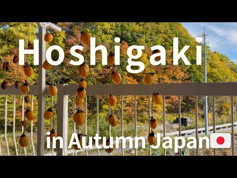 Making Traditional Hoshigaki | A Peaceful Autumn in Japan🇯🇵 | Vlog