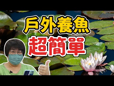 户外缸 魚