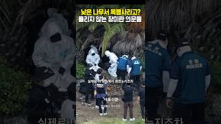 A Hanging from These Low Trees Unresolved Questions in the Jang Mi-ran Case