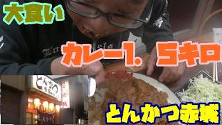 [大食い]　１．５キロ！！カレー大盛に挑んできた！！　相模原市とんかつ赤城