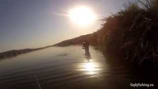 preview picture of video 'Pesca del black bass , embalse de Arrocampo - Almaraz'