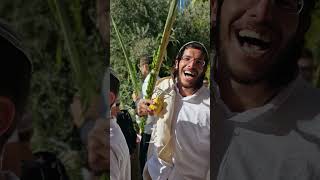 שמחים ורוקדים בהלל בחג הסוכות! איזה אנרגיות! (ישיבת הר הבית) - התמונה מוצגת ישירות מתוך אתר האינטרנט יוטיוב. זכויות היוצרים בתמונה שייכות ליוצרה. קישור קרדיט למקור התוכן נמצא בתוך דף הסרטון שמחים ורוקדים בהלל בחג הסוכות! איזה אנרגיות! (ישיבת הר הבית) - התמונה מוצגת ישירות מתוך אתר האינטרנט יוטיוב. זכויות היוצרים בתמונה שייכות ליוצרה. קישור קרדיט למקור התוכן נמצא בתוך דף הסרטון