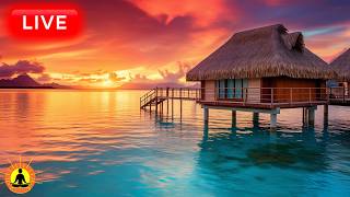 🔴 Deep Relaxing Music for Sleep 24/7: Peaceful Zen Music, Sleep Relaxation, Sleep Meditation Music thumbnail