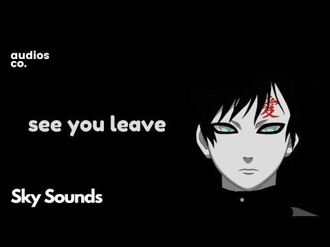 Rxseboy, Thomas reid & Zaini - see you leave | Sky Sounds