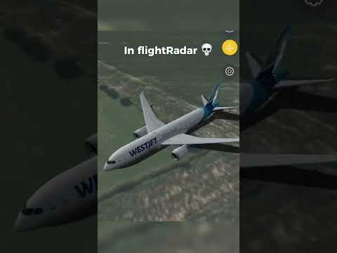 FlightRadar24 vs Real Life 😂✈️