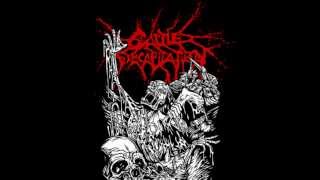 Cattle Decapition A Body Farm