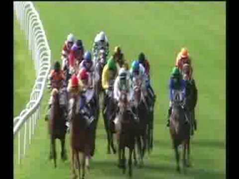 2016.05.15 Jarná cena kobýl (Slovenske 1000 Guineas) - Robben Island