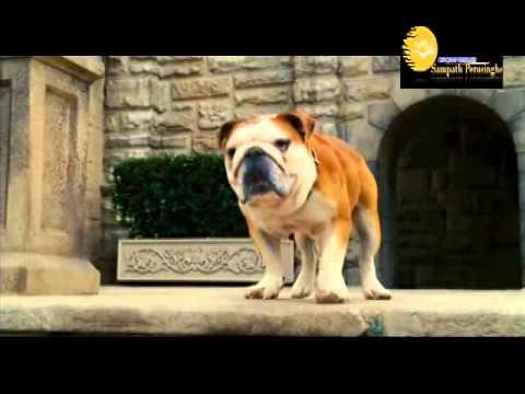 Rambari With Garfield