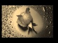 ıva zanicchi - historia de un amor 