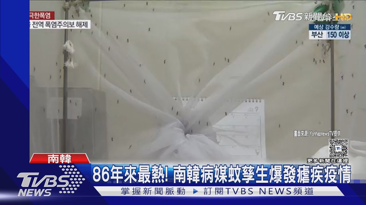 86年來最熱7月中!南韓病媒蚊大量孳生 爆發瘧疾群聚感染