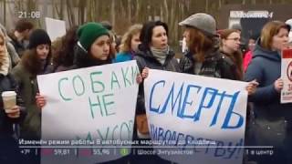 Москва24: Митинг зоозащитников прошел в Москве - 02.04.2017