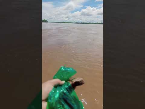 RIÓ BENI RURRENABAQUE 💚💚💚👑👑👑
