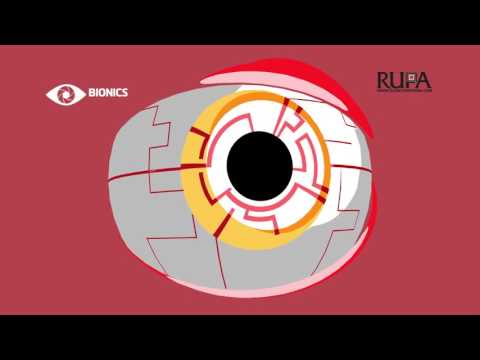 UNSW engineering 2016