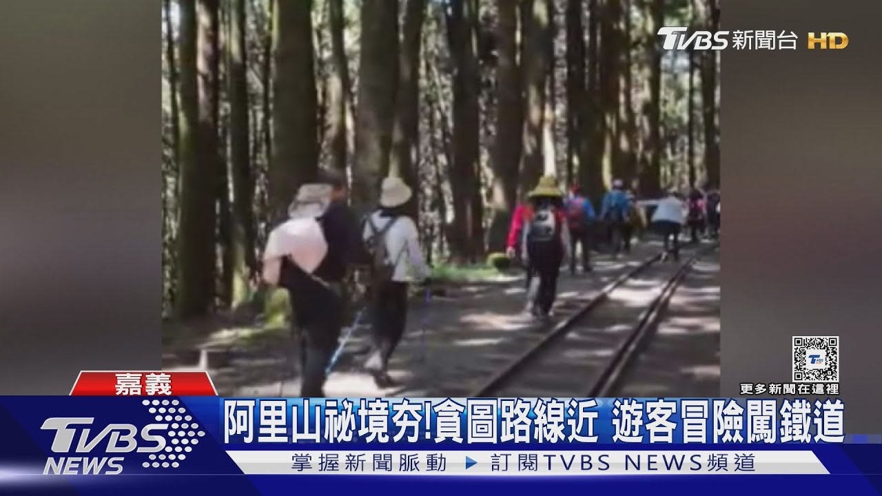 當心火車來了!遊客冒險闖阿里山鐵道行走 最高罰5萬元