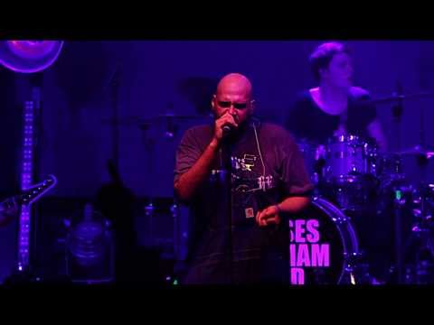 Moses Pelham - Für die Ewigkeit (live in Frankfurt) (Official 3pTV)