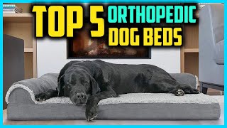 ✅Top 5 Best Orthopedic Dog Beds of 2024