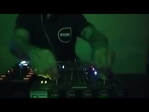 Rama Pusbatzkies -14/08/23