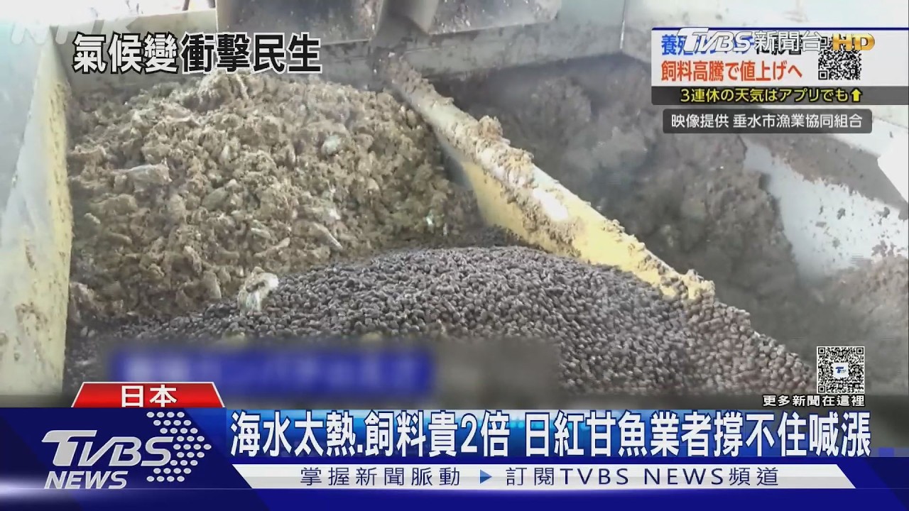 影音／77年來最強「哥吉拉聖嬰」發威！日本紅甘漲價　暖冬恐無雪可滑