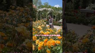 スペイン、マドリードへ2泊3日旅行✈️🇪🇸小さなロンドンと思っていたら、期待以上によかった街✨#madrid #travelvlog #europetravel #スペイン旅行 #マドリード