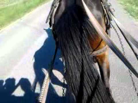 cal razvan veve necsesti