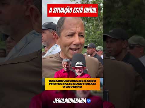 🚨 Que absurdo! Produtores de cacau protestam em Gandu e cobram soluções urgentes 😡