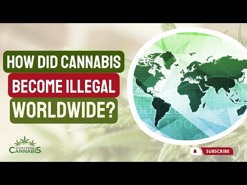 How Did Cannabis Become Illegal Worldwide? (Single Convention on Narcotics Treaty 1961)