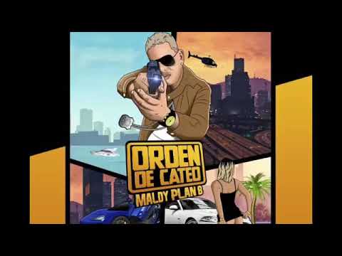 Orden De Cateo - Plan B