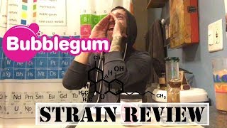 Bubble Gum Strain Review